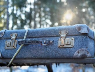 luggage, frost, travel