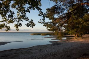 Naturerlebnis an der Mecklenburger Seenplatte (Müritz)