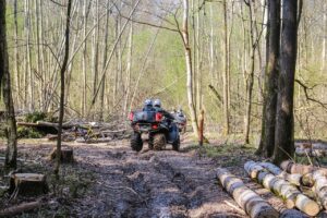 atvs, atv, rover, forest, trip, ride, off-road, summer, entertainment, wilderness, jungle, russia, search, four-wheel, nature, moto, mototechnics