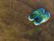 a pair of shoes sitting on top of a dirt field